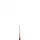 Winsor & Newton Sceptre Gold II Series 101 N0