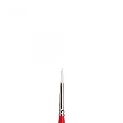 Winsor&Newton University Brushes S233 N5