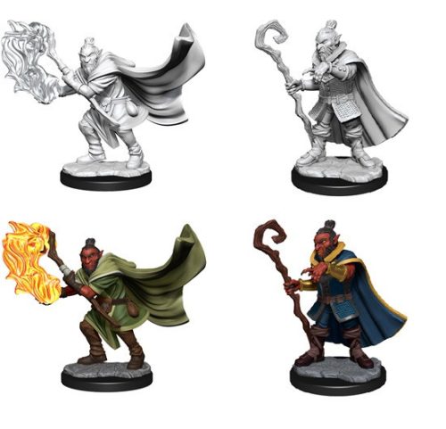 Hobgoblin Wizard and Druid Male: Critical Role Unpainted Miniatures