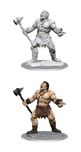 Cyclops: D&D Nolzur's Marvelous Unpainted Miniatures