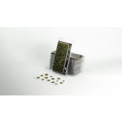 Laser Plants - Dumb Cane