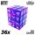 36x D6 12mm Dice - Clear Blue/Purple