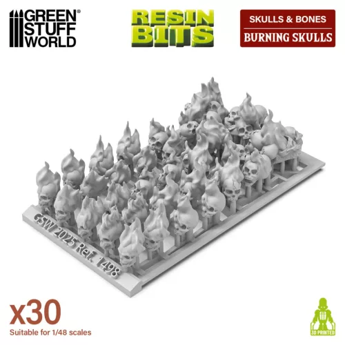 Resin Burning Skulls 1:48-1:35