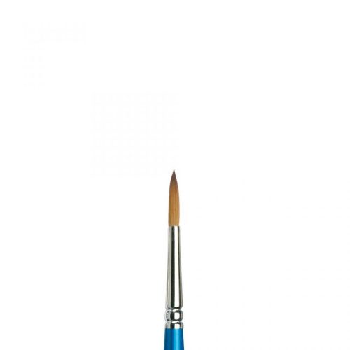 Winsor&Newton Cotman Watercolour Brush Series 111 N6