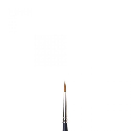 Winsor&Newton Professional Watercolour Sable Brush Round N2