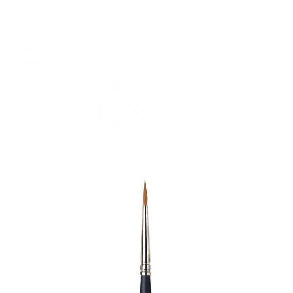 Winsor&Newton Professional Watercolour Sable Brush Round N2
