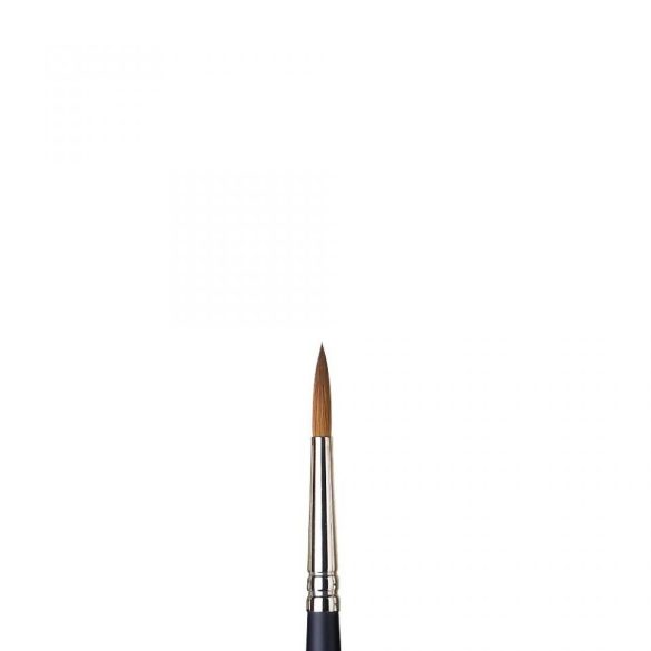Winsor&Newton Professional Watercolour Sable Brush Round N6