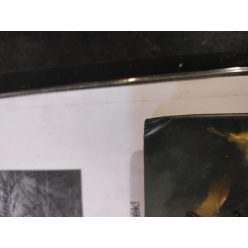   Church of Steel - Wrath & Glory: Warhammer 40,000 Roleplay - sérült