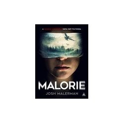 Josh Malerman: Malorie (Madarak a dobozban 2.)