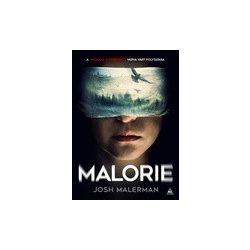 Josh Malerman: Malorie (Madarak a dobozban 2.) - HUN